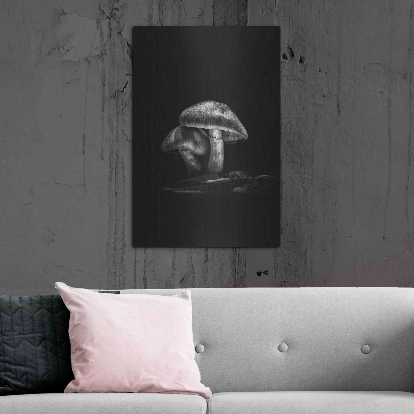 Luxe Metal Art 'Toadstools On A Trail No 2' by Brian Carson, Metal Wall Art,24x36