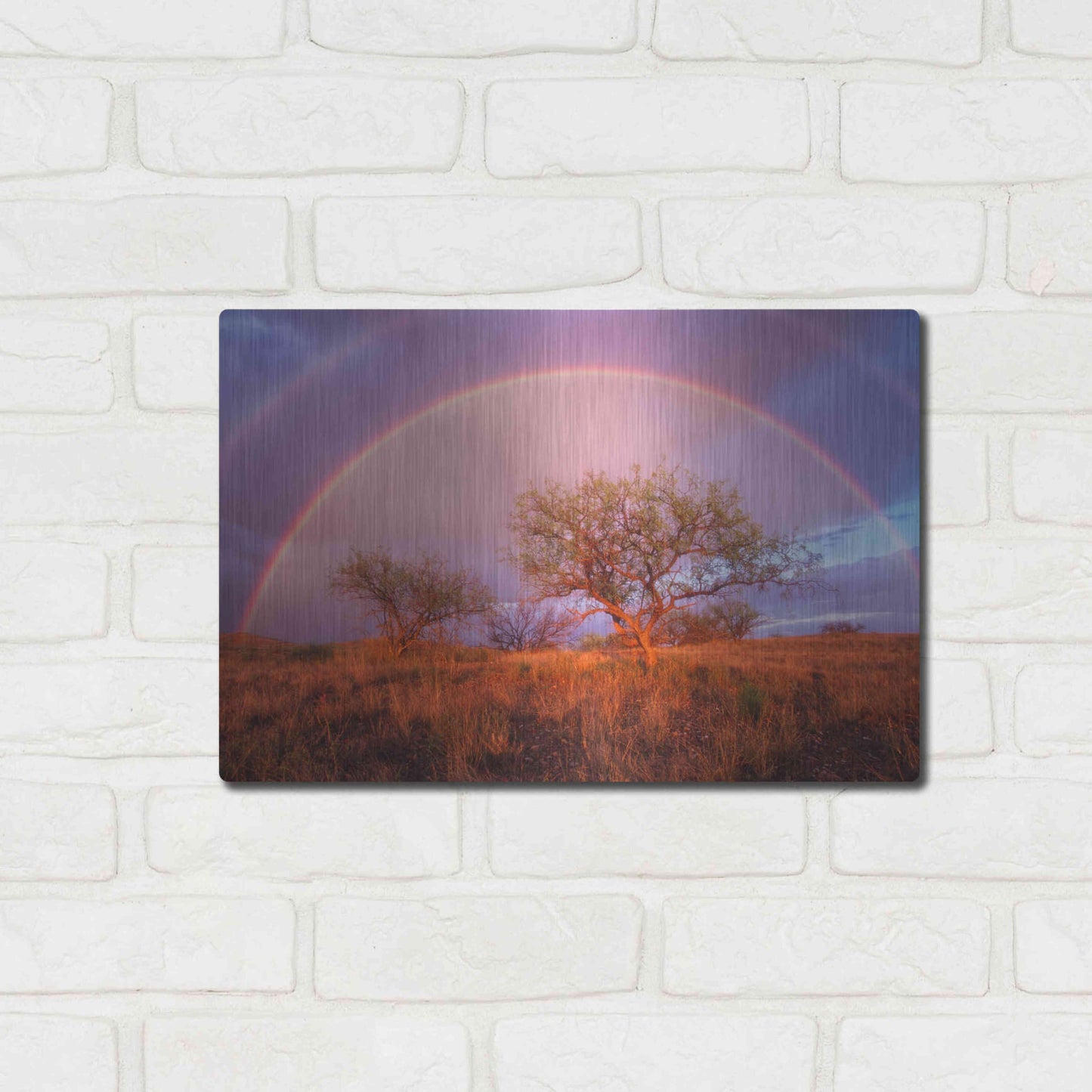 Luxe Metal Art 'Arizona Rainbow' by Thomas Haney, Metal Wall Art,16x12