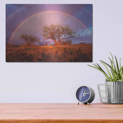 Luxe Metal Art 'Arizona Rainbow' by Thomas Haney, Metal Wall Art,16x12