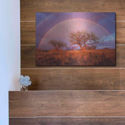 Luxe Metal Art 'Arizona Rainbow' by Thomas Haney, Metal Wall Art,16x12