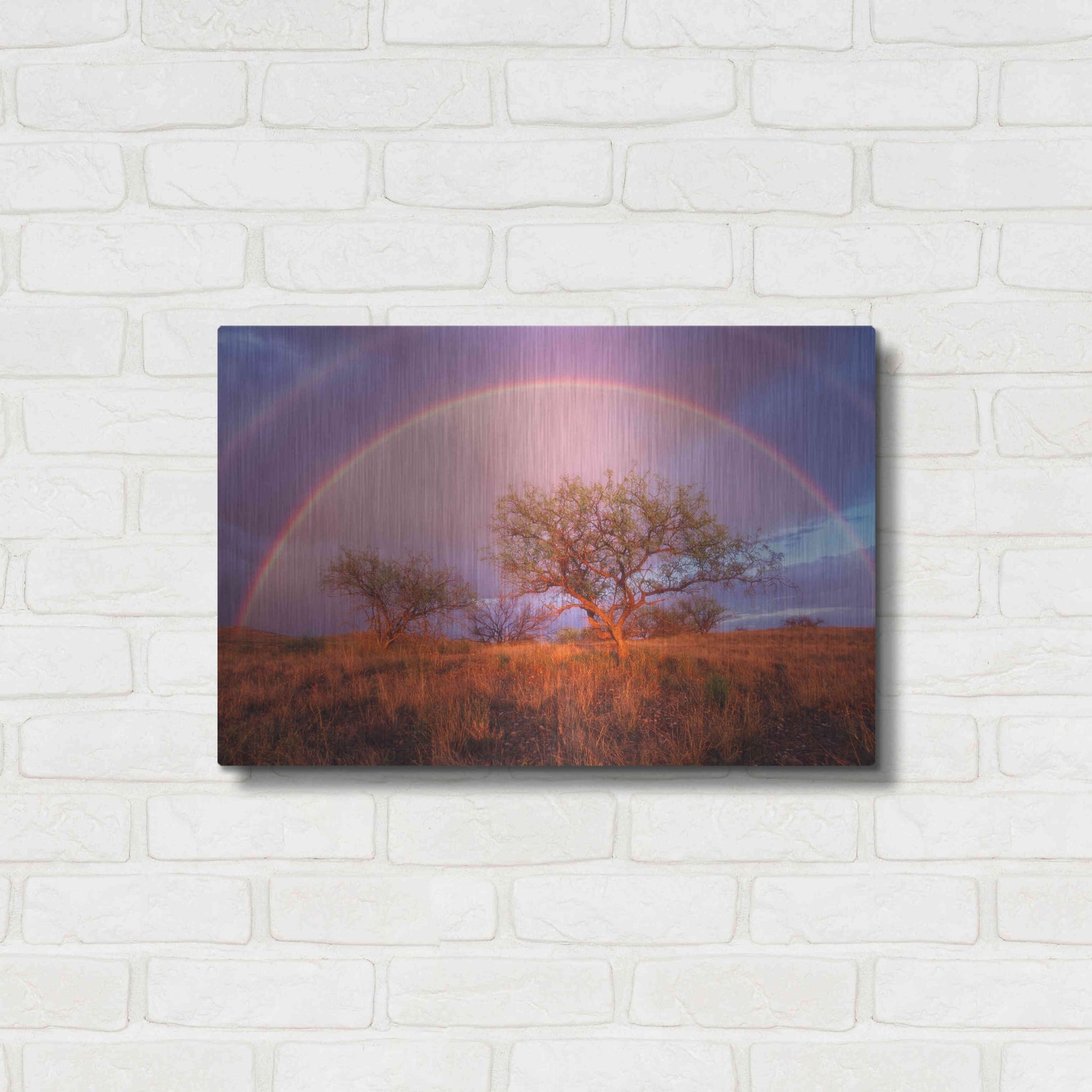 Luxe Metal Art 'Arizona Rainbow' by Thomas Haney, Metal Wall Art,24x16