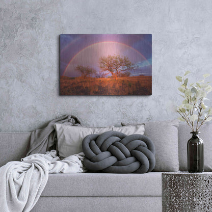 Luxe Metal Art 'Arizona Rainbow' by Thomas Haney, Metal Wall Art,36x24