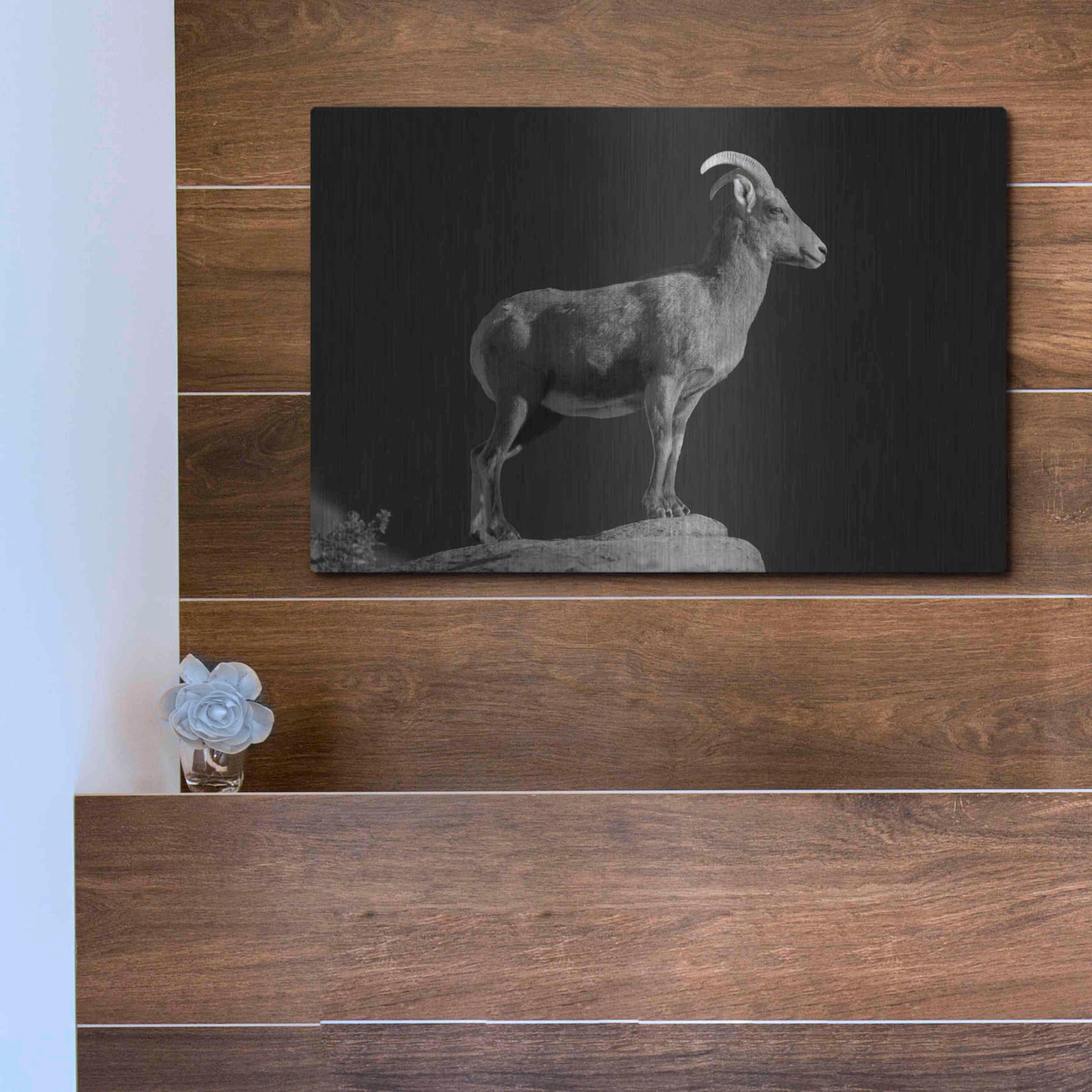 Luxe Metal Art 'Bighorn Portrait Cf' by Thomas Haney, Metal Wall Art,16x12