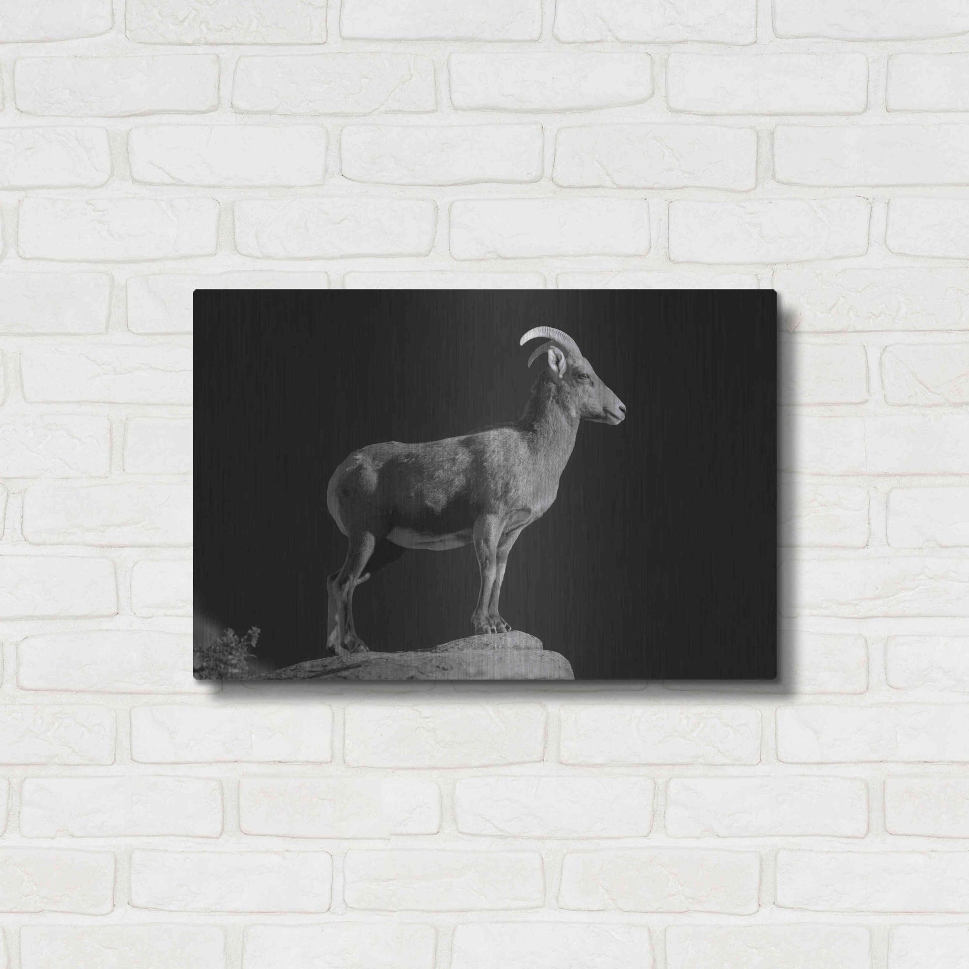 Luxe Metal Art 'Bighorn Portrait Cf' by Thomas Haney, Metal Wall Art,24x16