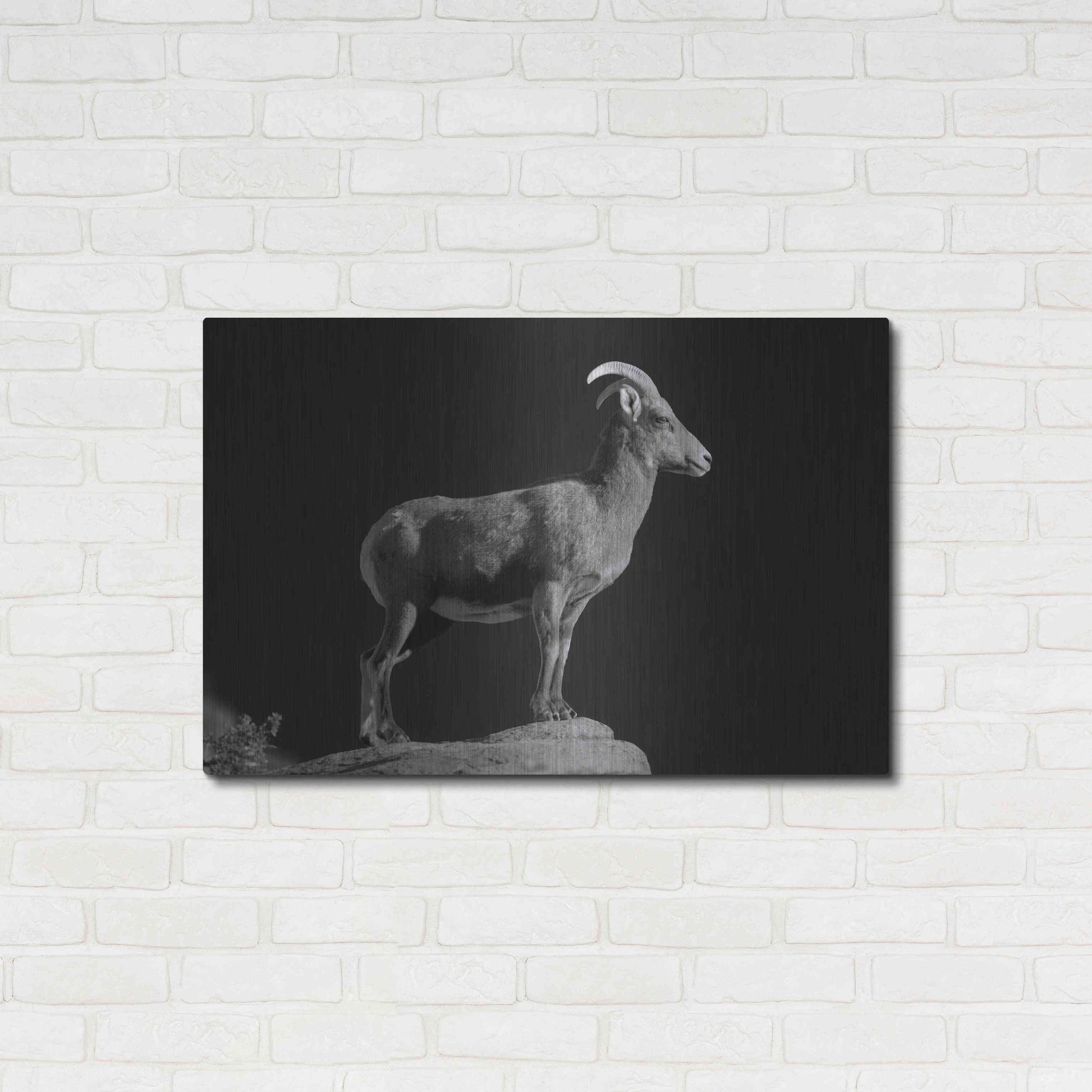 Luxe Metal Art 'Bighorn Portrait Cf' by Thomas Haney, Metal Wall Art,36x24