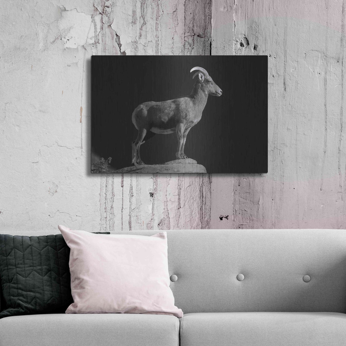 Luxe Metal Art 'Bighorn Portrait Cf' by Thomas Haney, Metal Wall Art,36x24