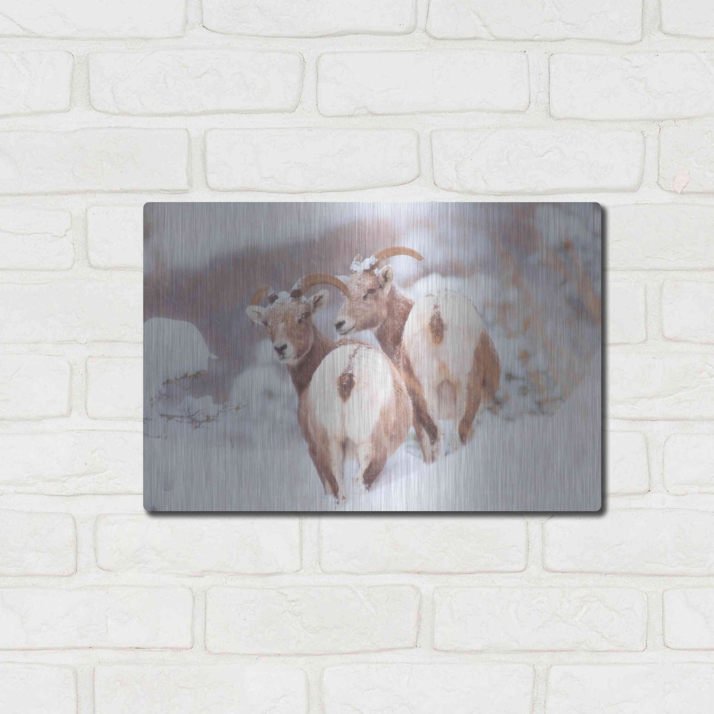 Luxe Metal Art 'Bighorns Two' by Thomas Haney, Metal Wall Art,16x12