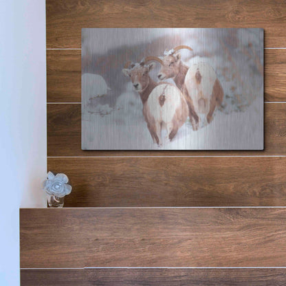 Luxe Metal Art 'Bighorns Two' by Thomas Haney, Metal Wall Art,16x12