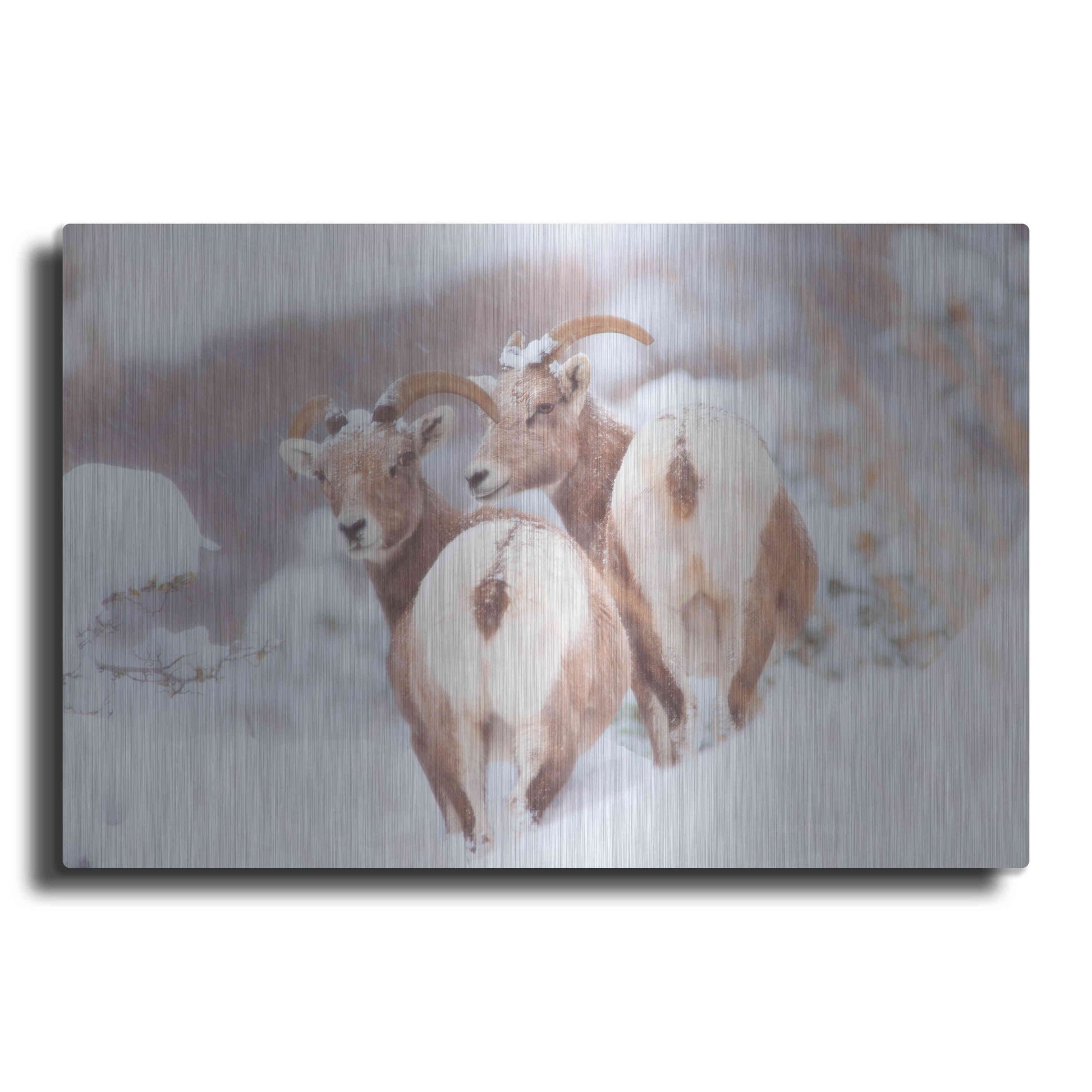 Luxe Metal Art 'Bighorns Two' by Thomas Haney, Metal Wall Art