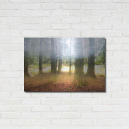 Luxe Metal Art 'Blurred Trees' by Thomas Haney, Metal Wall Art,36x24