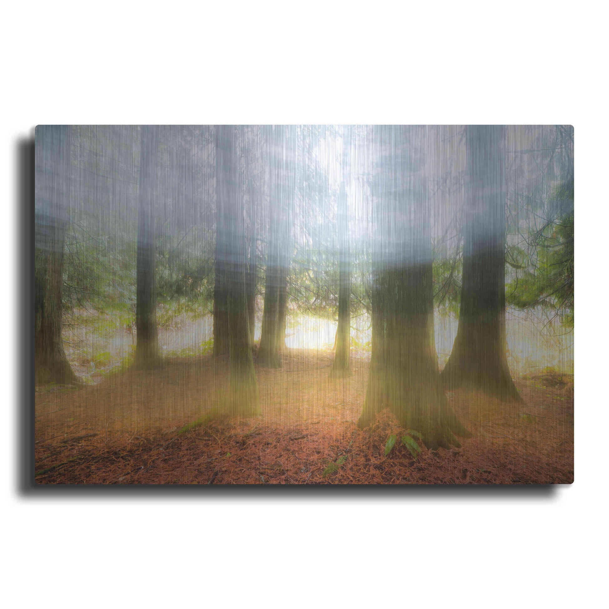 Luxe Metal Art 'Blurred Trees' by Thomas Haney, Metal Wall Art