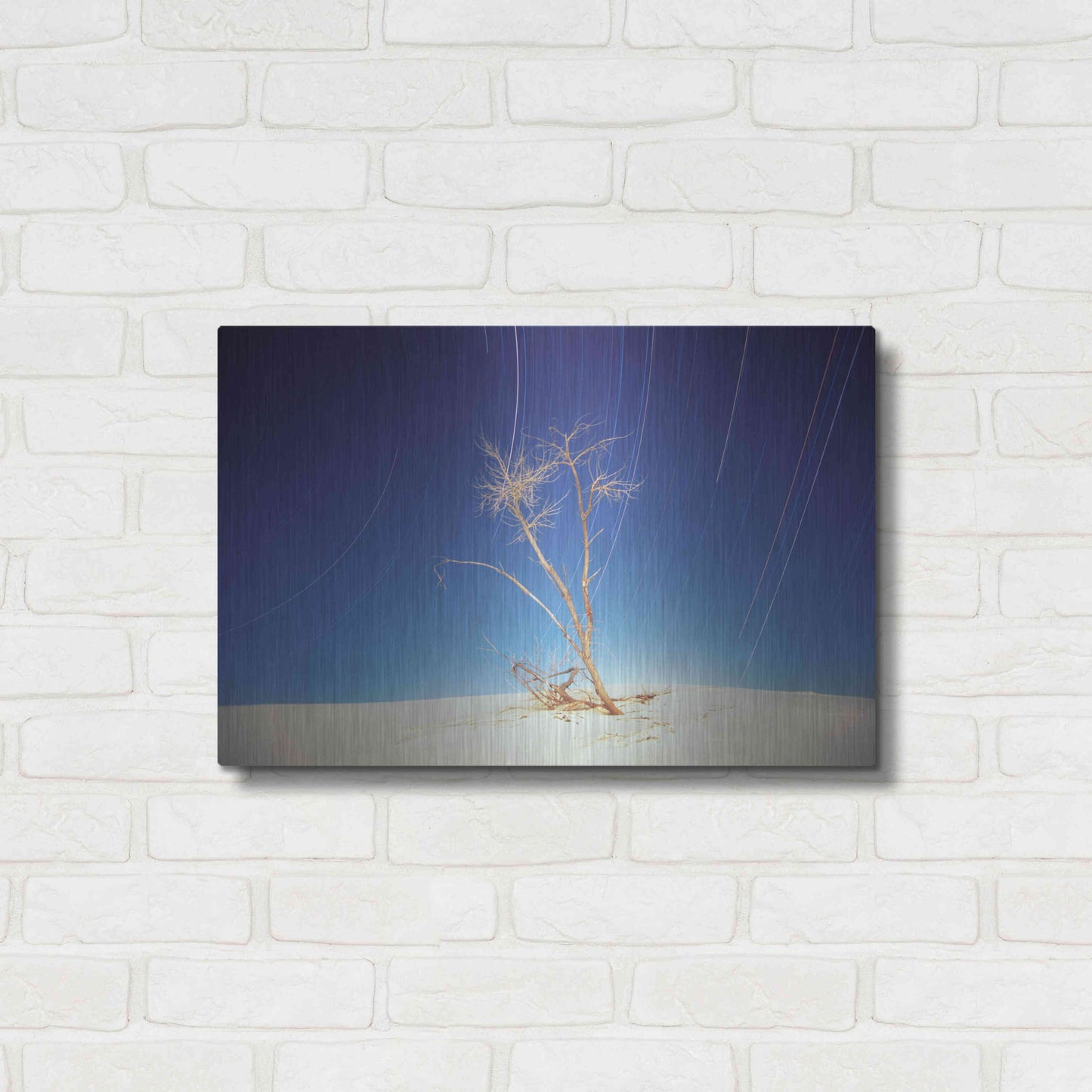 Luxe Metal Art 'Bright Cottonwood Drum Scan' by Thomas Haney, Metal Wall Art,24x16