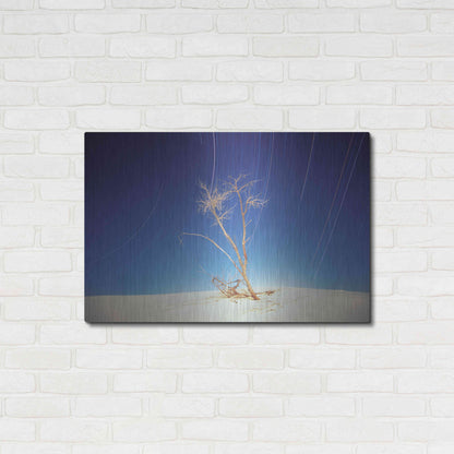 Luxe Metal Art 'Bright Cottonwood Drum Scan' by Thomas Haney, Metal Wall Art,36x24