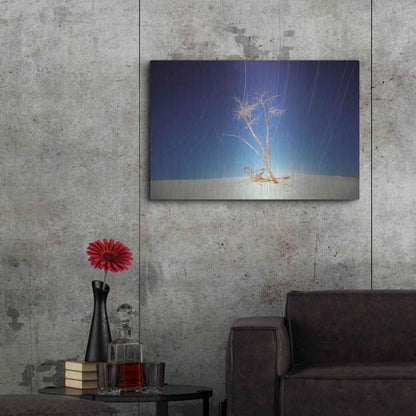 Luxe Metal Art 'Bright Cottonwood Drum Scan' by Thomas Haney, Metal Wall Art,36x24