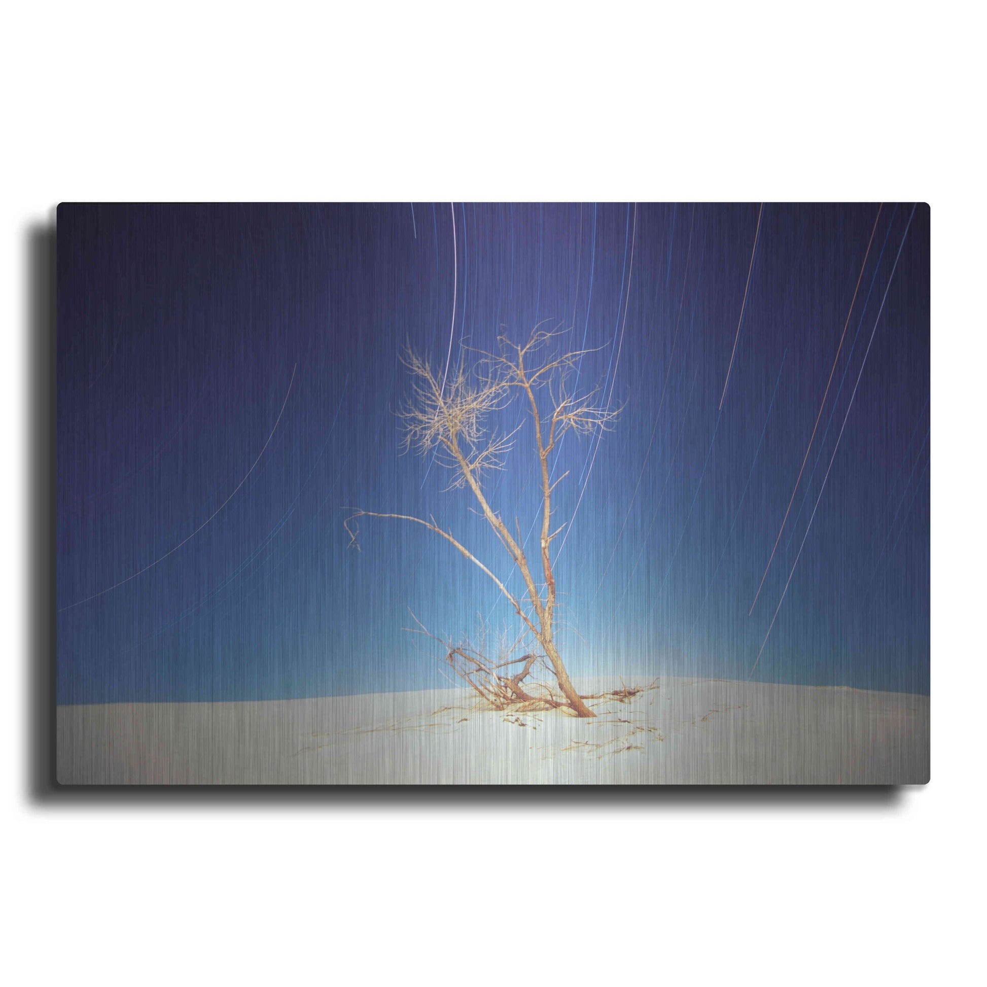 Luxe Metal Art 'Bright Cottonwood Drum Scan' by Thomas Haney, Metal Wall Art