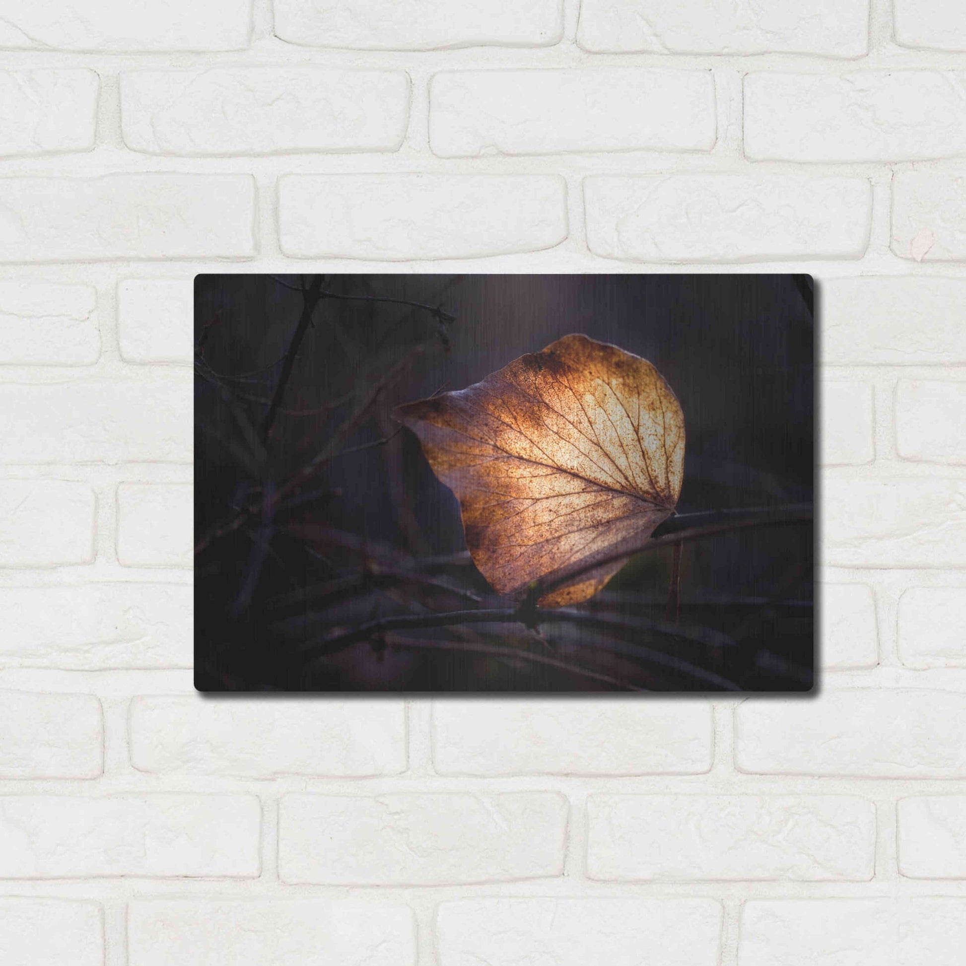 Luxe Metal Art 'Bright Leaf Proc' by Thomas Haney, Metal Wall Art,16x12