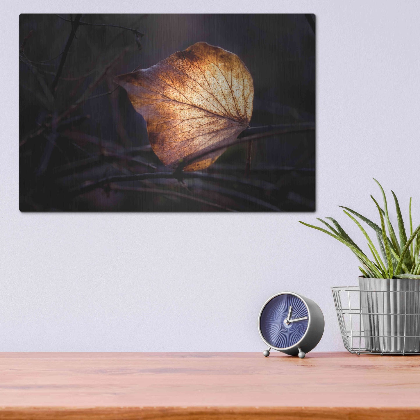 Luxe Metal Art 'Bright Leaf Proc' by Thomas Haney, Metal Wall Art,16x12