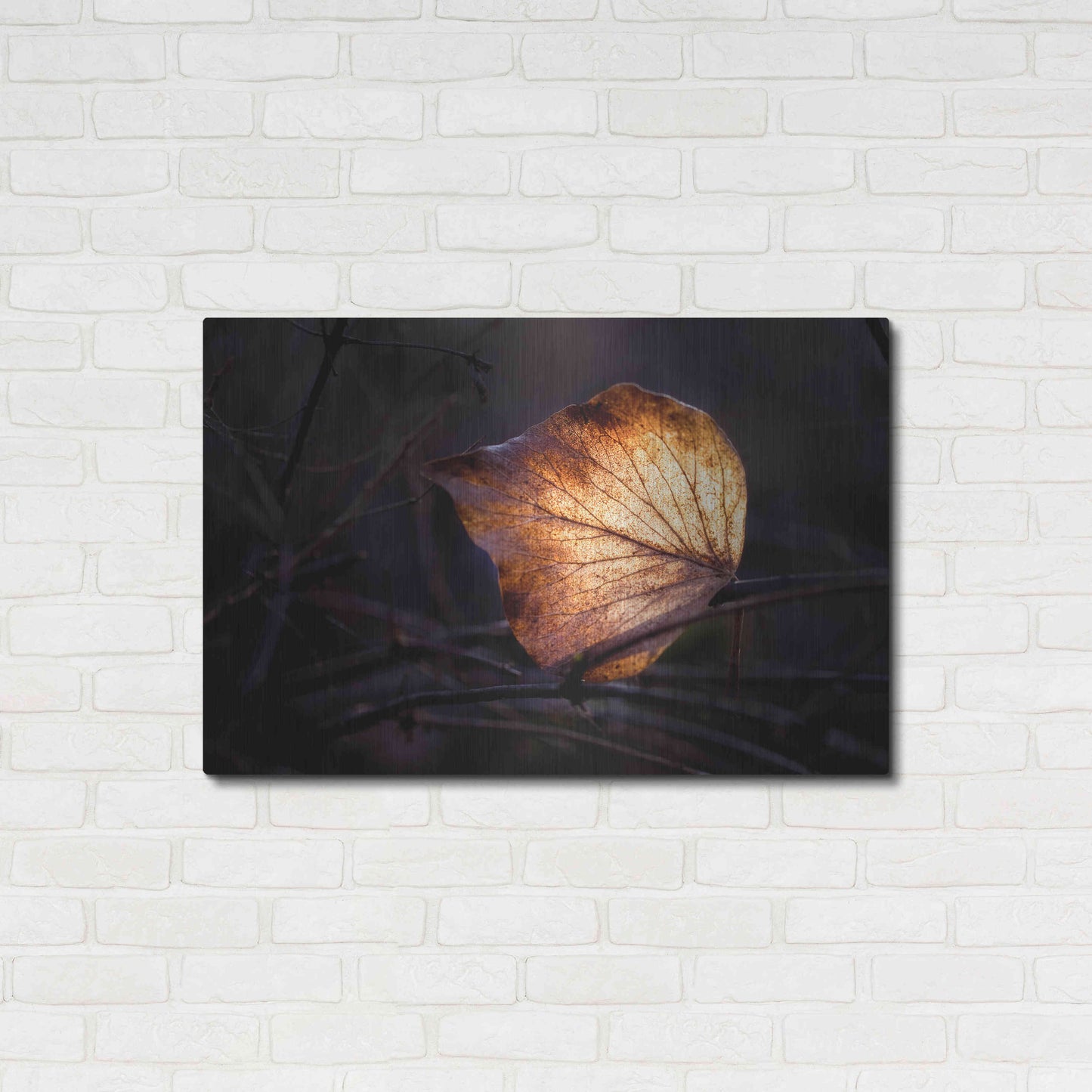 Luxe Metal Art 'Bright Leaf Proc' by Thomas Haney, Metal Wall Art,36x24