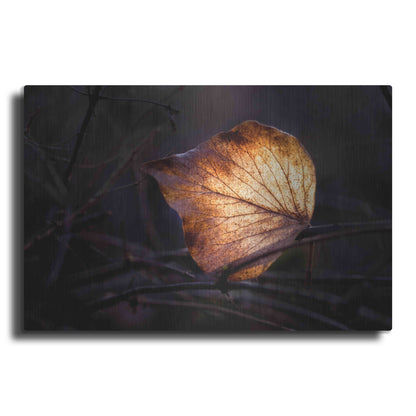 Luxe Metal Art 'Bright Leaf Proc' by Thomas Haney, Metal Wall Art