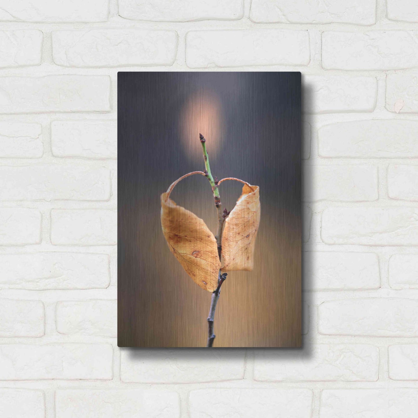 Luxe Metal Art 'Candle Plant' by Thomas Haney, Metal Wall Art,12x16