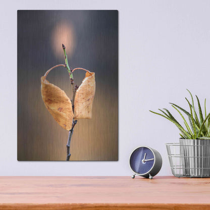 Luxe Metal Art 'Candle Plant' by Thomas Haney, Metal Wall Art,12x16