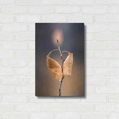 Luxe Metal Art 'Candle Plant' by Thomas Haney, Metal Wall Art,16x24