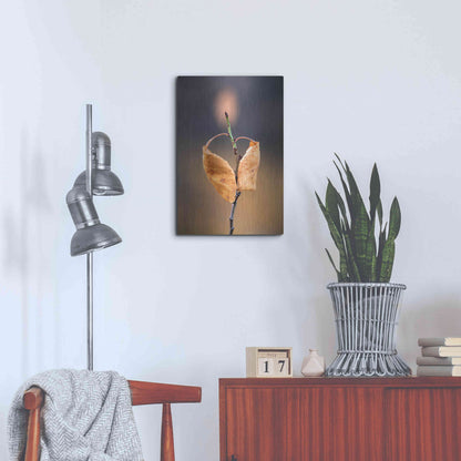 Luxe Metal Art 'Candle Plant' by Thomas Haney, Metal Wall Art,16x24