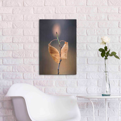 Luxe Metal Art 'Candle Plant' by Thomas Haney, Metal Wall Art,16x24