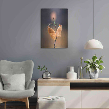 Luxe Metal Art 'Candle Plant' by Thomas Haney, Metal Wall Art,16x24