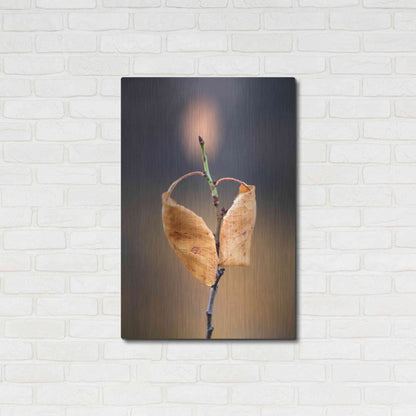 Luxe Metal Art 'Candle Plant' by Thomas Haney, Metal Wall Art,24x36