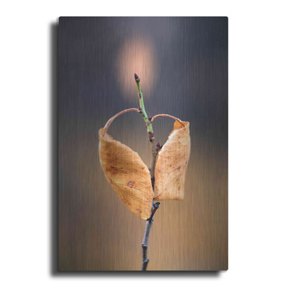 Luxe Metal Art 'Candle Plant' by Thomas Haney, Metal Wall Art