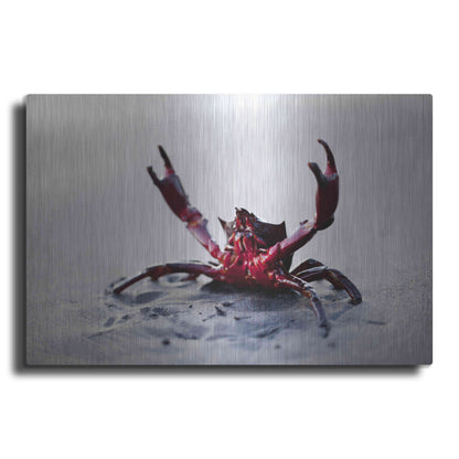 Luxe Metal Art 'Claws Up' by Thomas Haney, Metal Wall Art