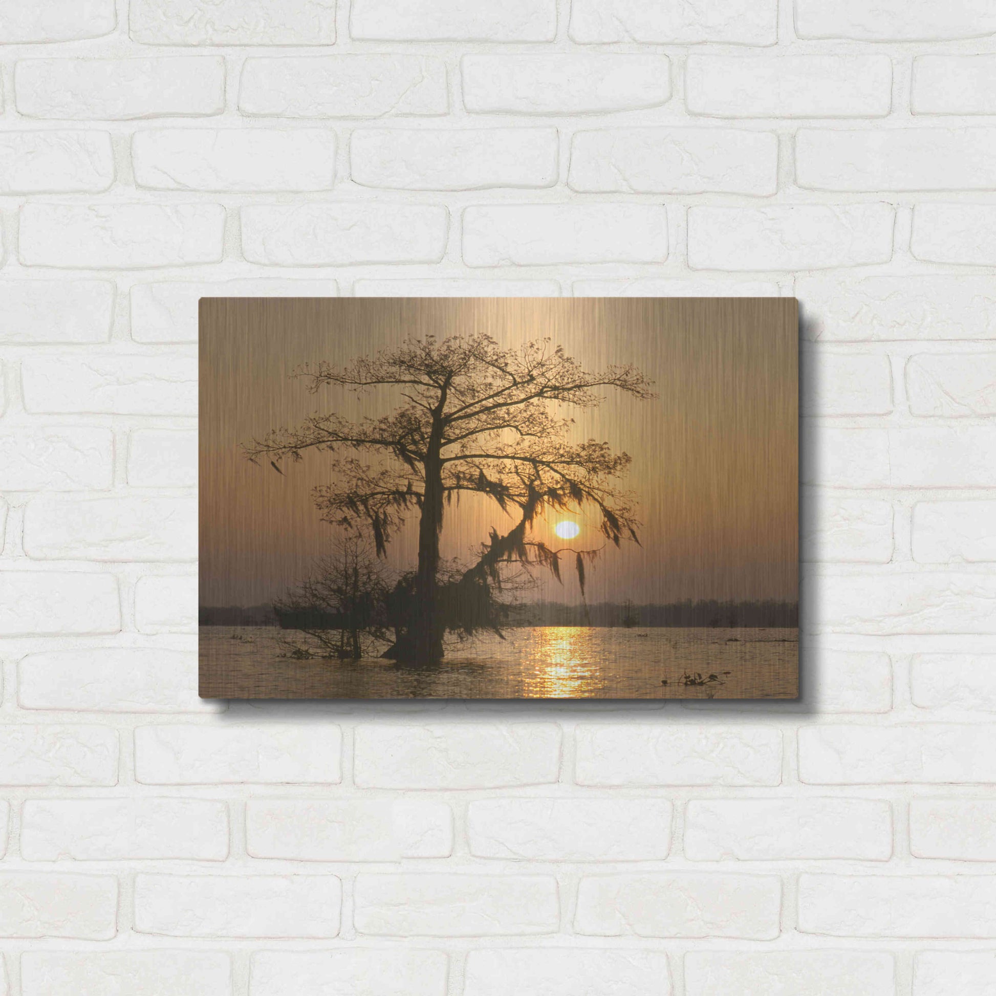 Luxe Metal Art 'Cypress Proc' by Thomas Haney, Metal Wall Art,24x16