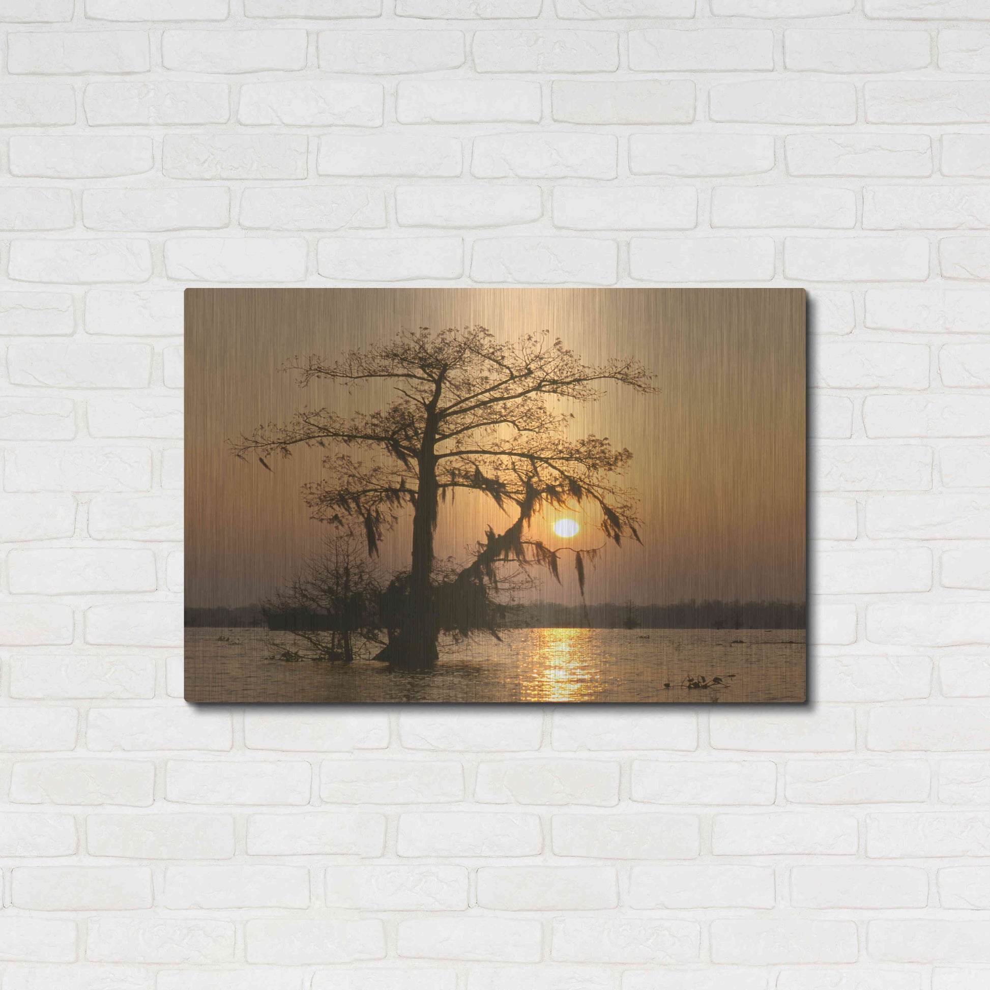 Luxe Metal Art 'Cypress Proc' by Thomas Haney, Metal Wall Art,36x24