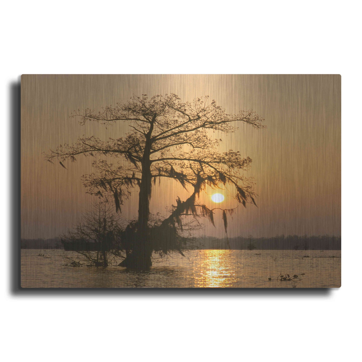 Luxe Metal Art 'Cypress Proc' by Thomas Haney, Metal Wall Art