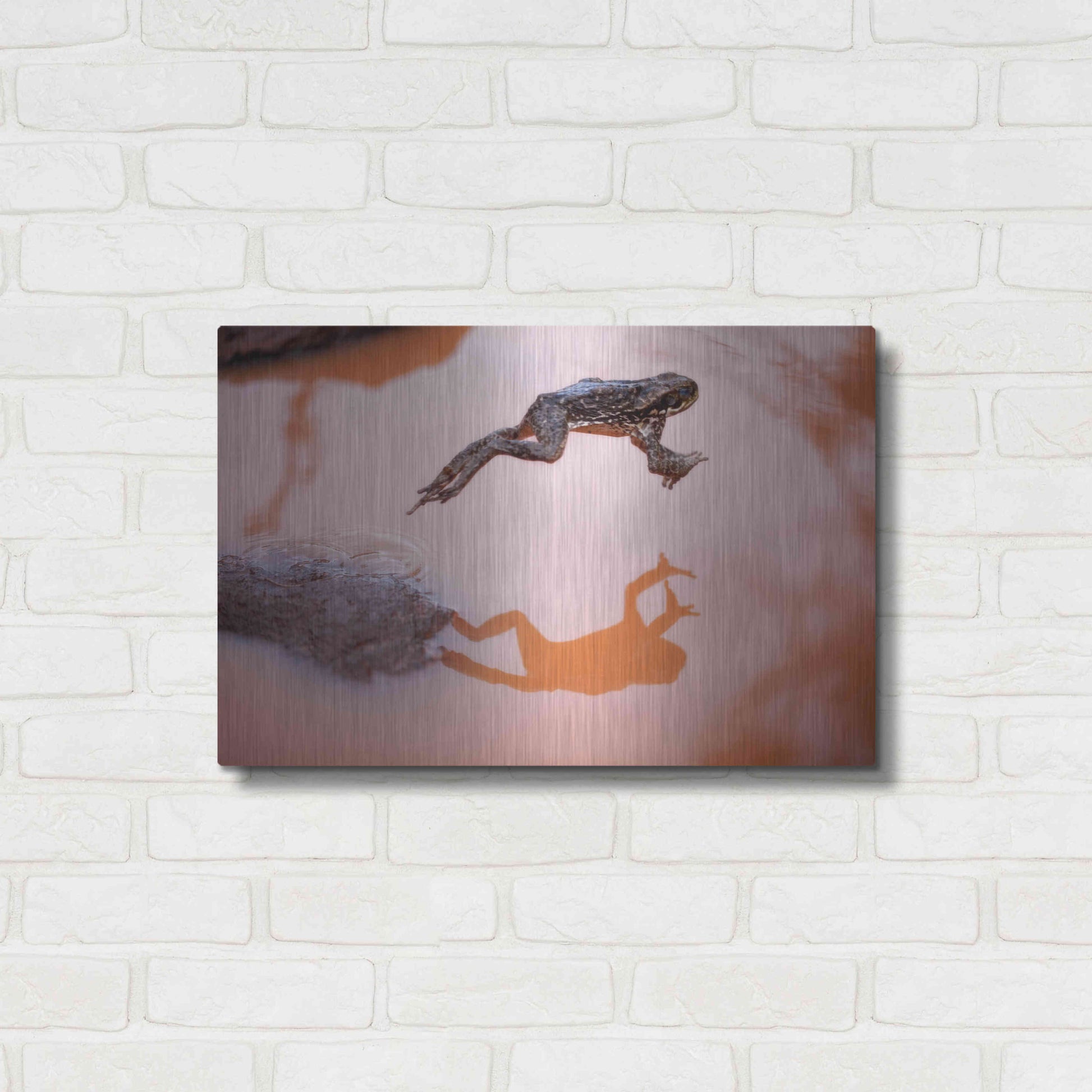 Luxe Metal Art 'Frog Jump 3' by Thomas Haney, Metal Wall Art,24x16