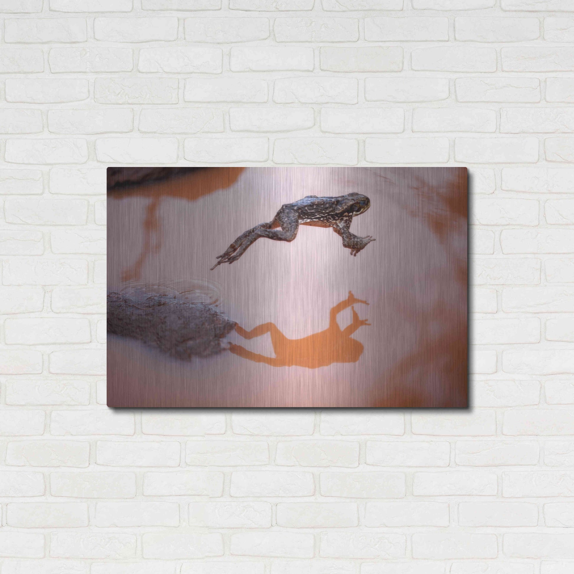 Luxe Metal Art 'Frog Jump 3' by Thomas Haney, Metal Wall Art,36x24