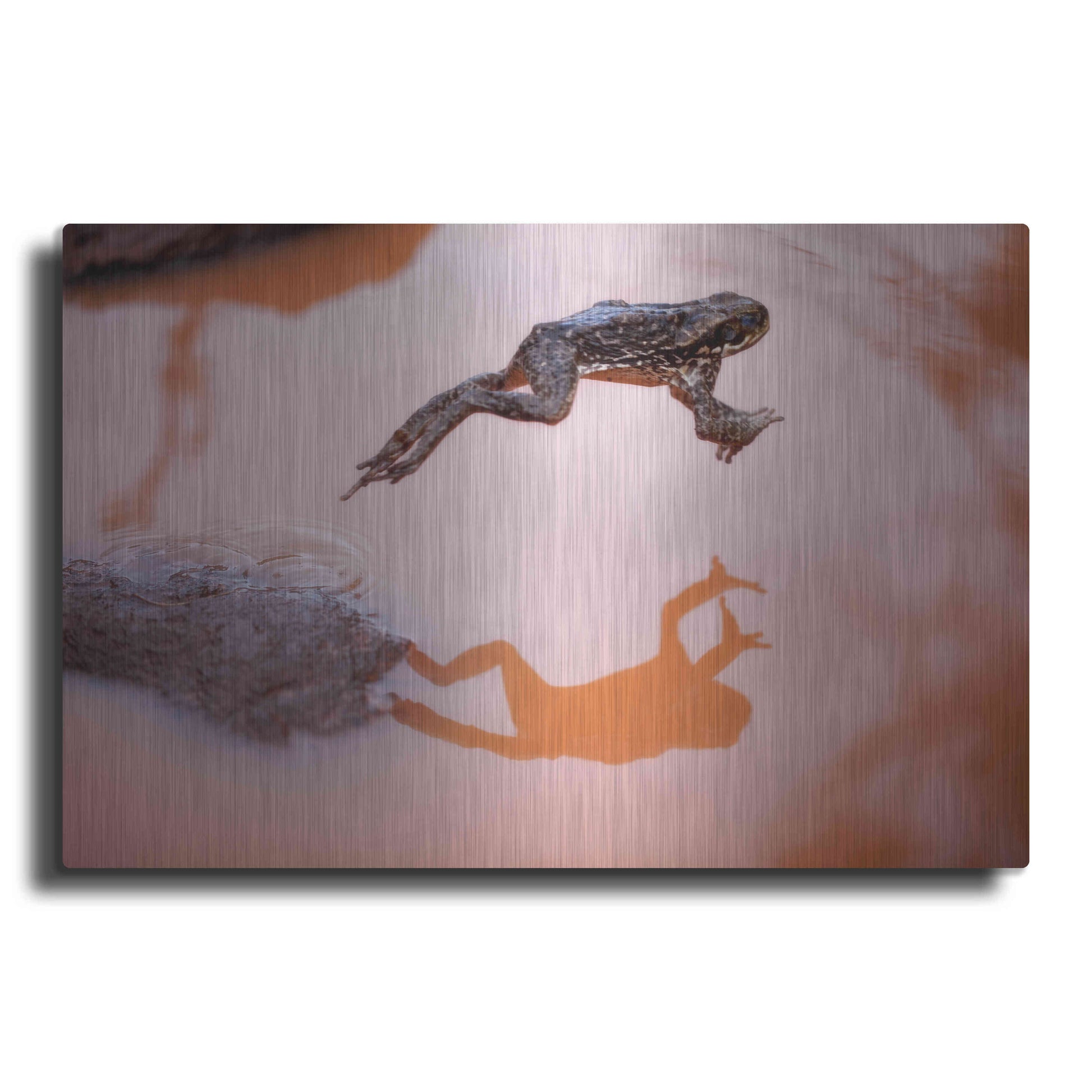 Luxe Metal Art 'Frog Jump 3' by Thomas Haney, Metal Wall Art