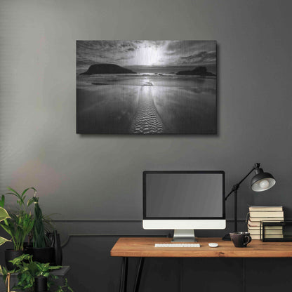 Luxe Metal Art 'Harris Stream 1 B&W' by Thomas Haney, Metal Wall Art,36x24