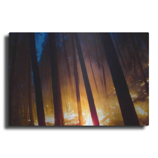 Luxe Metal Art 'Burning Forest' by Thomas Haney, Metal Wall Art