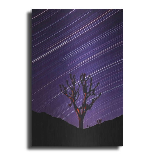 Luxe Metal Art 'Joshua Tree Brilliant Stars 2' by Thomas Haney, Metal Wall Art