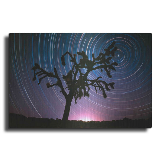 Luxe Metal Art 'Joshua Tree North Star Proc' by Thomas Haney, Metal Wall Art