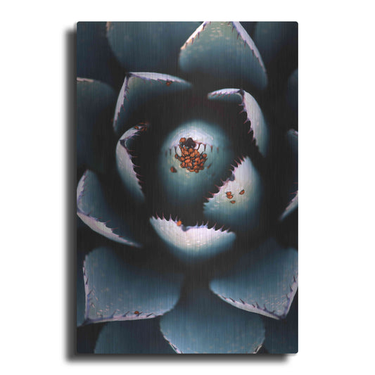 Luxe Metal Art 'Ladybugs Agave' by Thomas Haney, Metal Wall Art