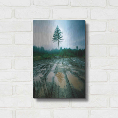 Luxe Metal Art 'Lonefir' by Thomas Haney, Metal Wall Art,12x16