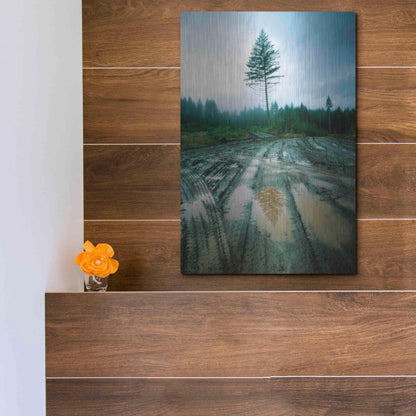 Luxe Metal Art 'Lonefir' by Thomas Haney, Metal Wall Art,12x16