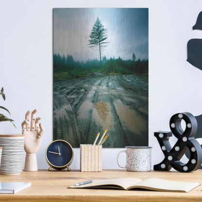 Luxe Metal Art 'Lonefir' by Thomas Haney, Metal Wall Art,12x16