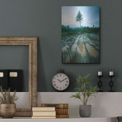 Luxe Metal Art 'Lonefir' by Thomas Haney, Metal Wall Art,12x16