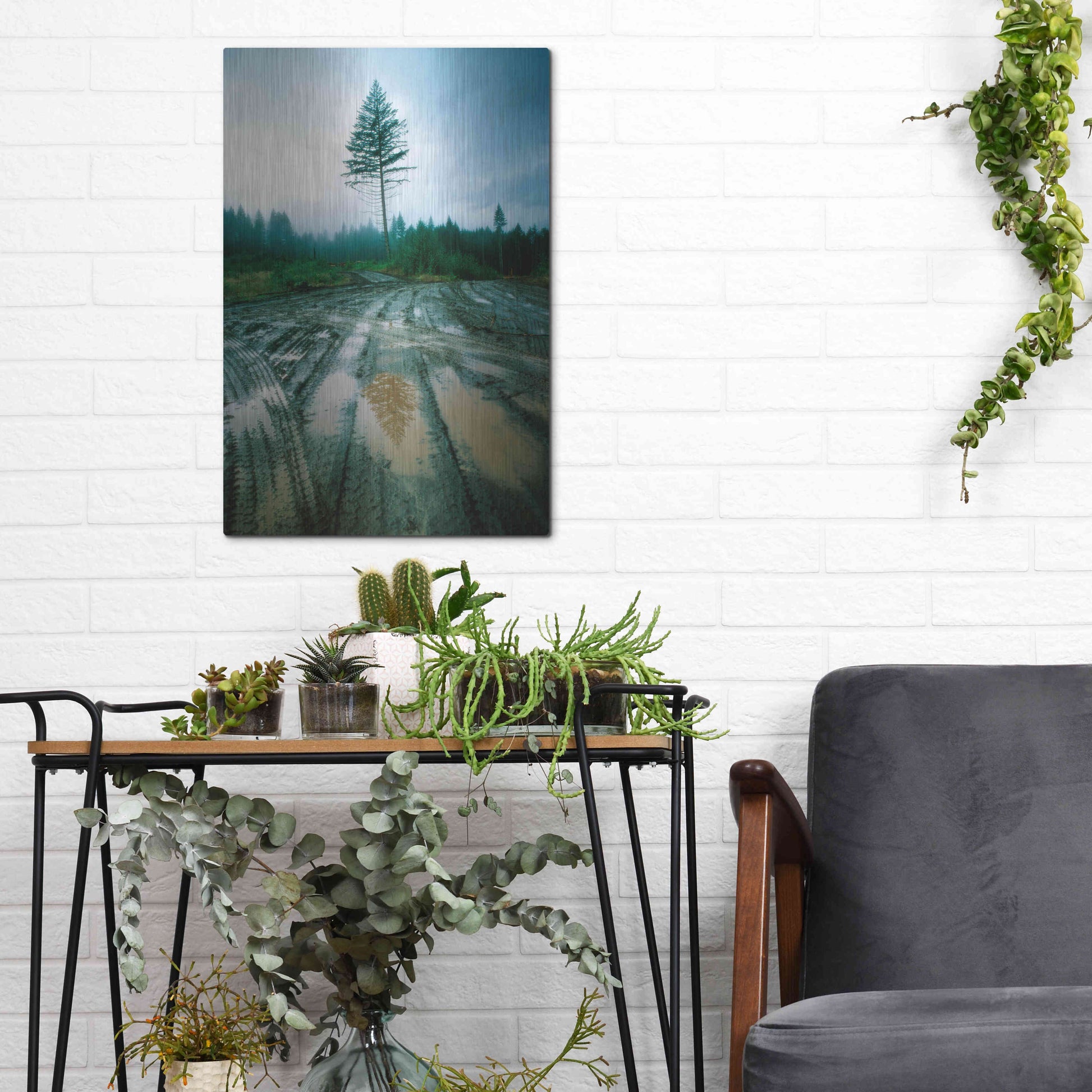 Luxe Metal Art 'Lonefir' by Thomas Haney, Metal Wall Art,12x16