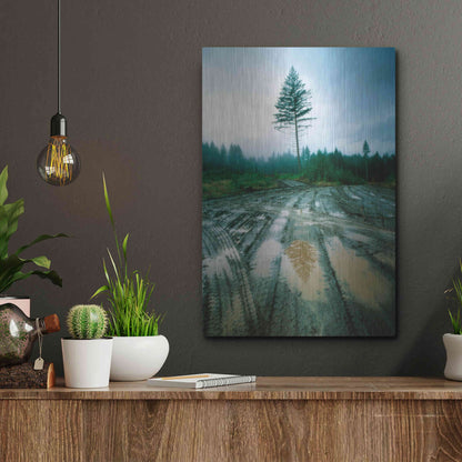 Luxe Metal Art 'Lonefir' by Thomas Haney, Metal Wall Art,12x16