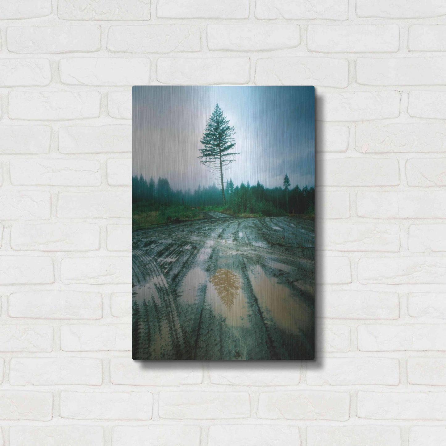 Luxe Metal Art 'Lonefir' by Thomas Haney, Metal Wall Art,16x24